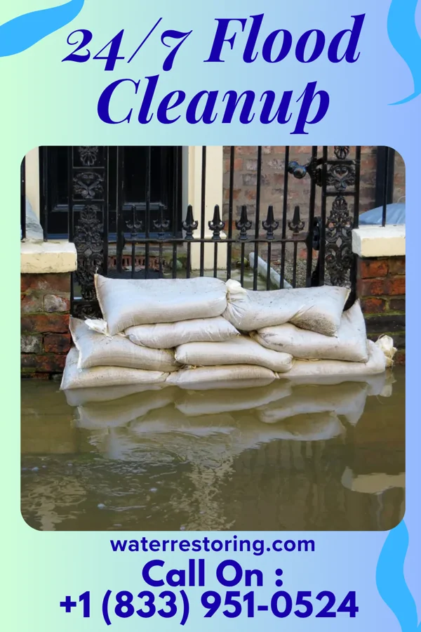 24/7 Flood Cleanup in Chevy Chase Section Five, MD