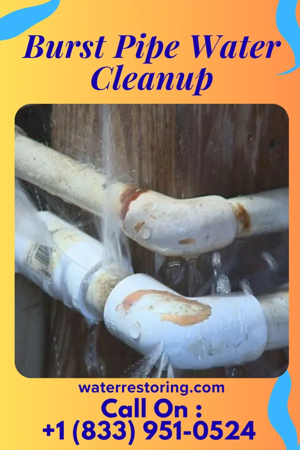 Burst Pipe Water Cleanup in Chevy Chase Section Five, MD