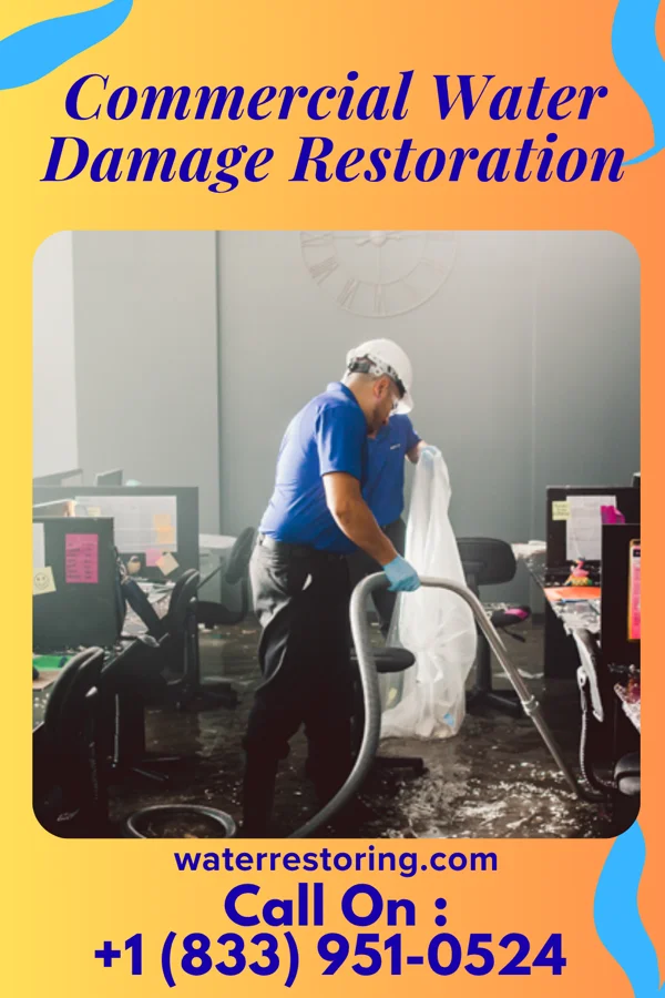 Commercial Water Damage Restoration in Chevy Chase Section Five, MD
