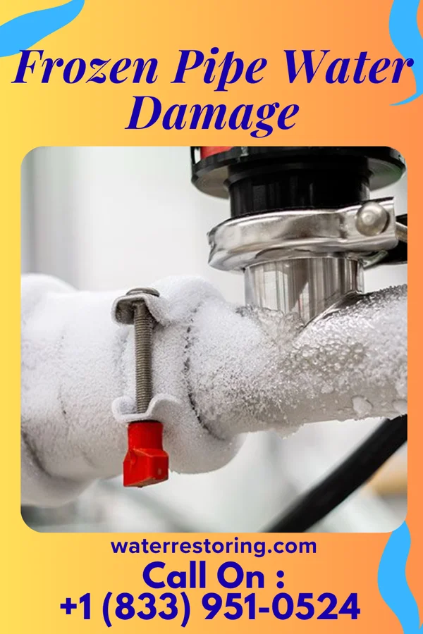 Frozen Pipe Water Damage in Chevy Chase Section Five, MD