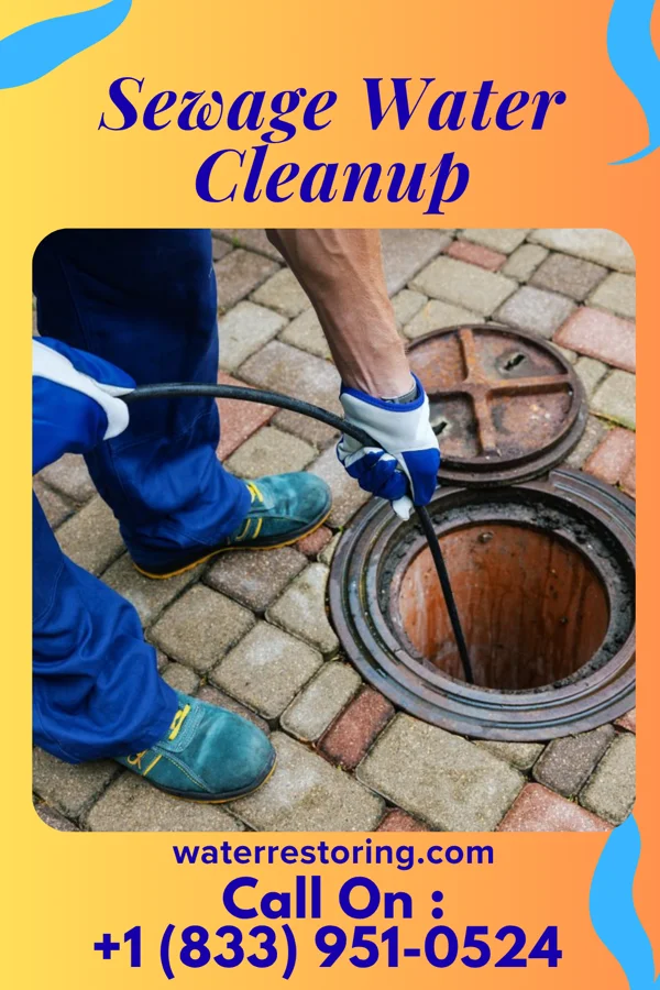 Sewage Water Cleanup in Chevy Chase Section Five, MD