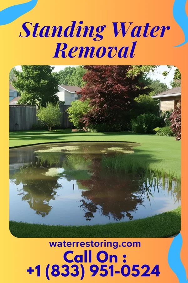 Standing Water Removal in Chevy Chase Section Five, MD